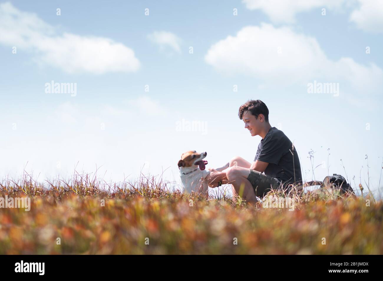 Teenager auf Herbst Rasen mit kleinen weißen Hund. Freundschaft und Travel Concept Stockfoto