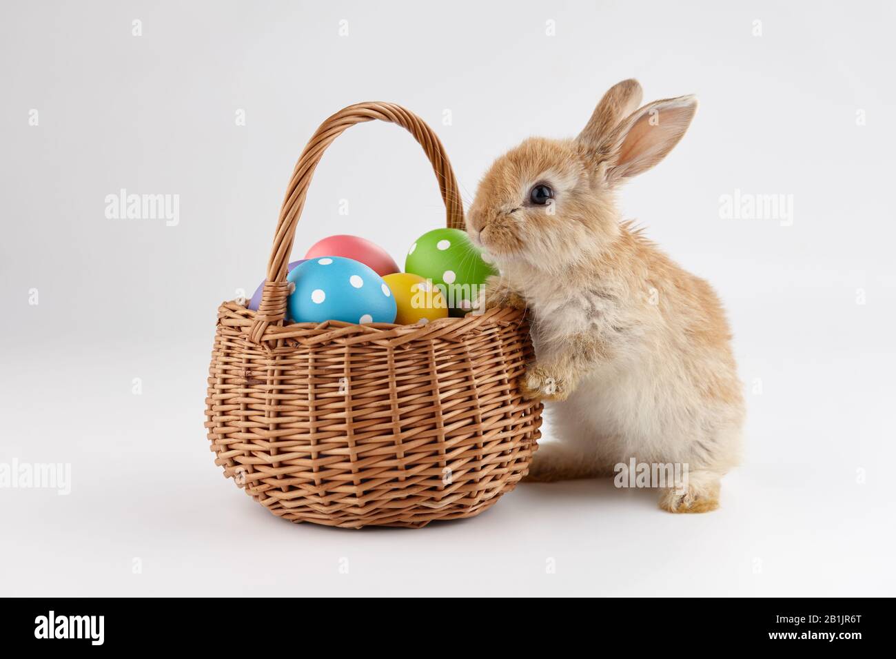 Osterhase Kaninchen mit Korb voller bunter Eier, Weihnachtskonzept Stockfoto