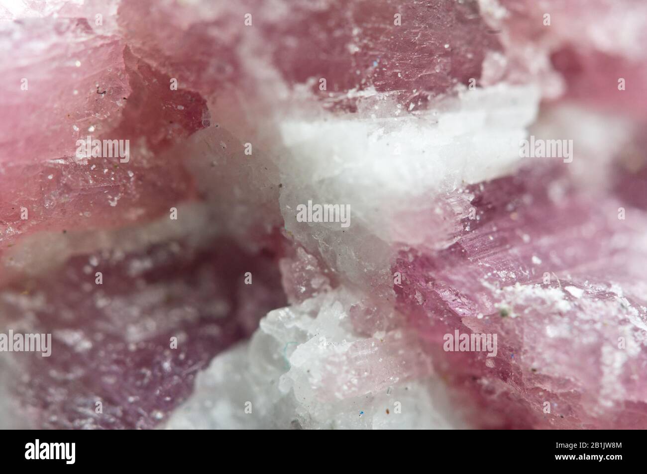 Rosa Hintergrund aus der Natur Kristalle, Rhodochrosit, mangancarbonat Mineral. Makro Stockfoto