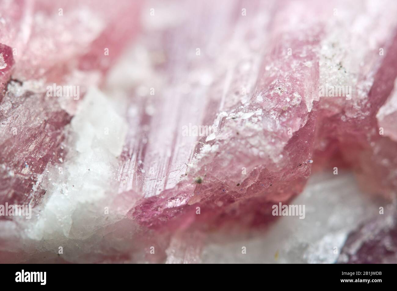 Rosa Hintergrund aus der Natur Kristalle, Rhodochrosit, mangancarbonat Mineral. Makro Stockfoto