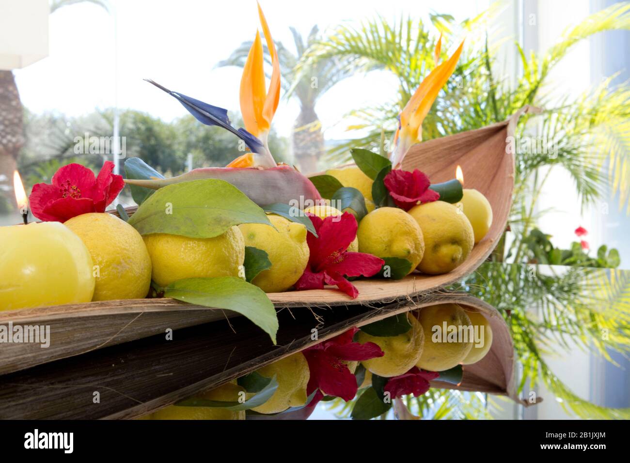 Zusammensetzung der Zitronen und Pflanzen auf dem Glastisch Stockfoto