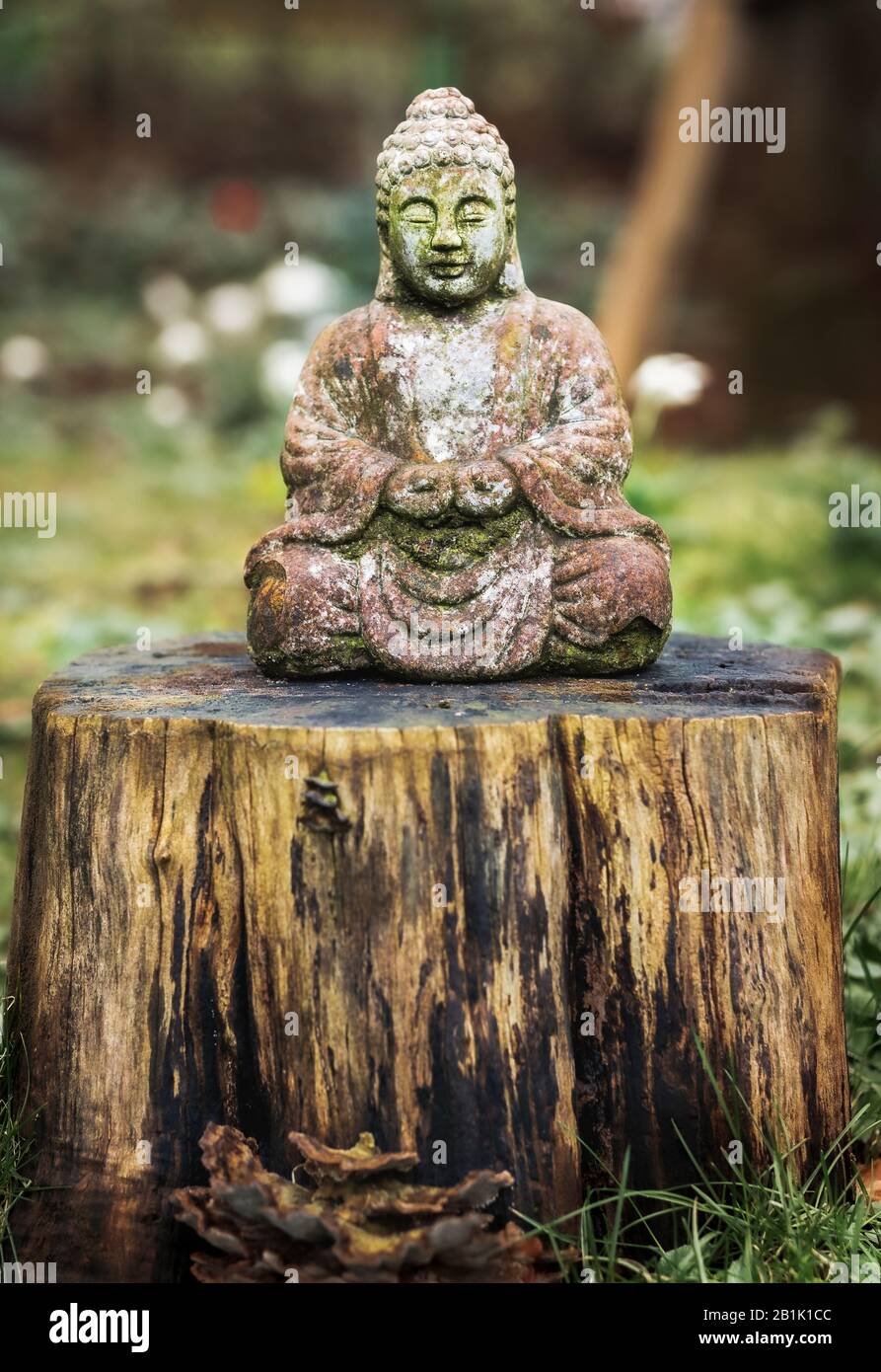 Japanischer Garten Des Friedens Stockfotos und bilder Kaufen Alamy