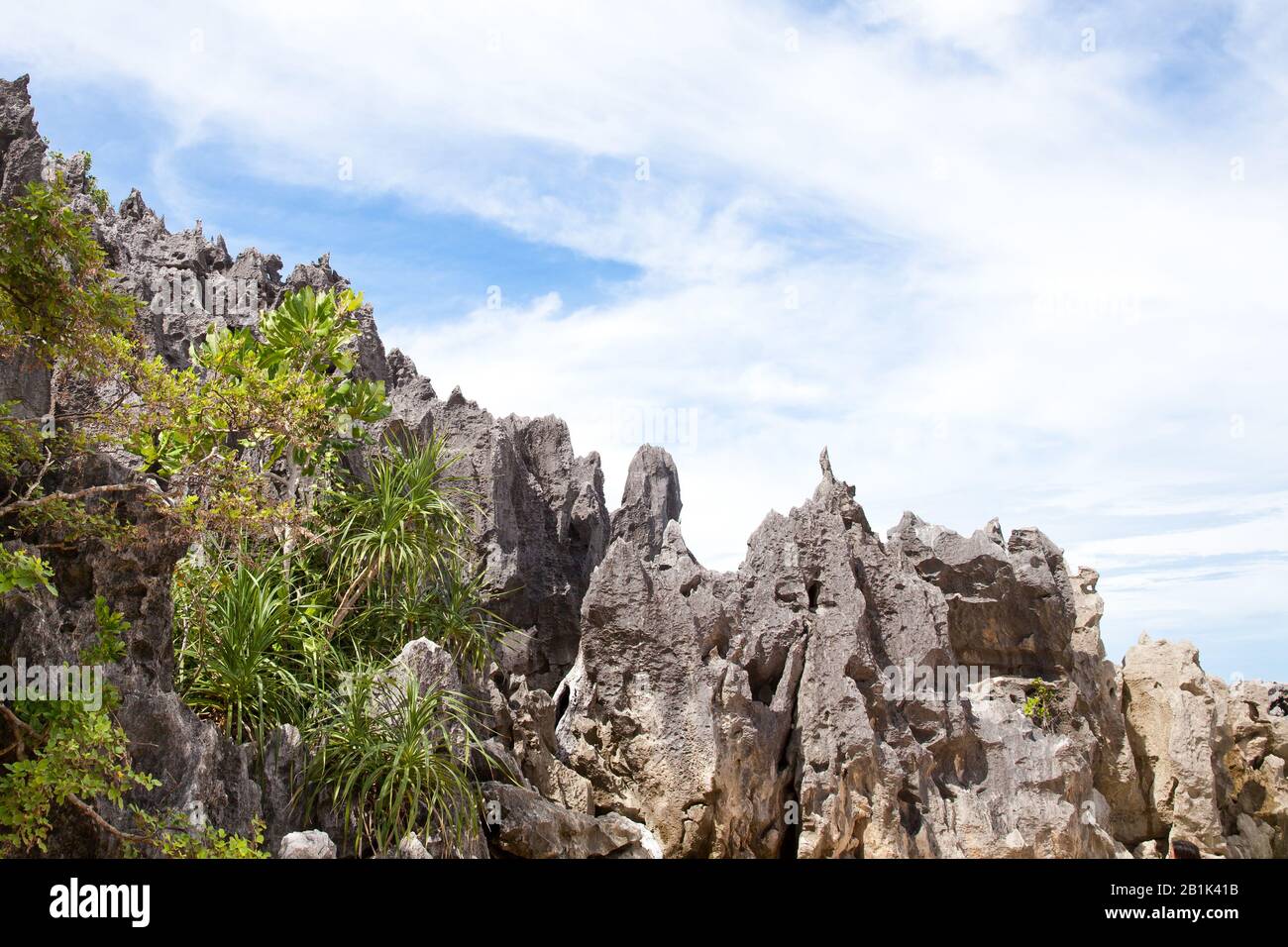 Limestone Rock Outcropping - Caramoan, Camarines Sur, Philippinen. Felsen mit tropischen Pflanzen. Stockfoto