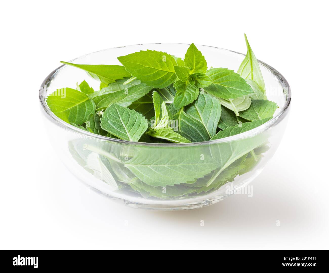 Frische Minze im Glas Schüssel auf weißem Hintergrund mit Freistellungspfad isoliert Stockfoto