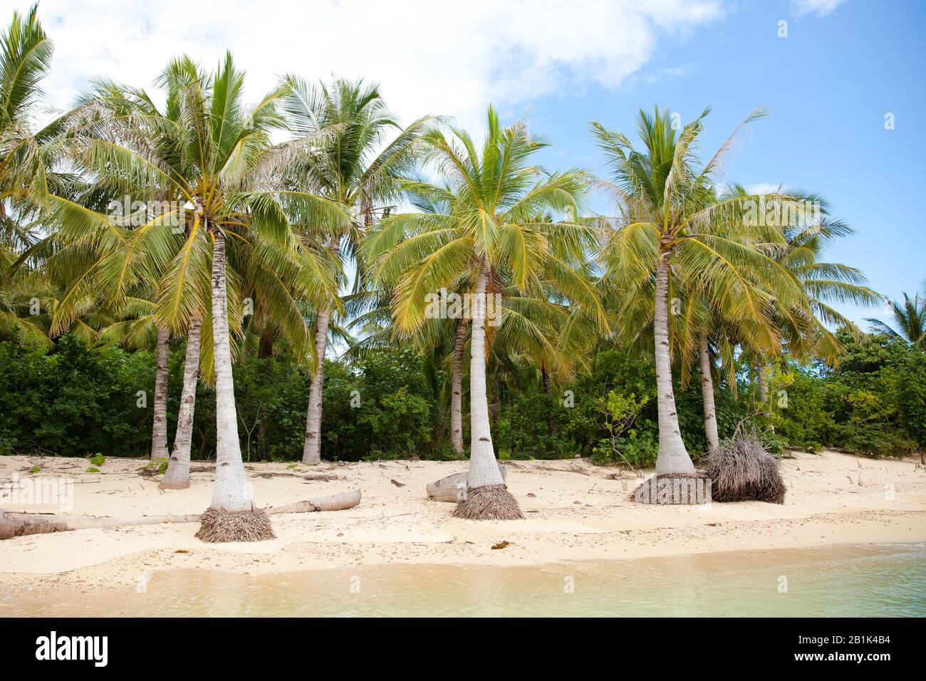 Weißer Sandstrand und Palmen. Eingelassenen Strand. Caramoan-Inseln, Philippinen. Stockfoto