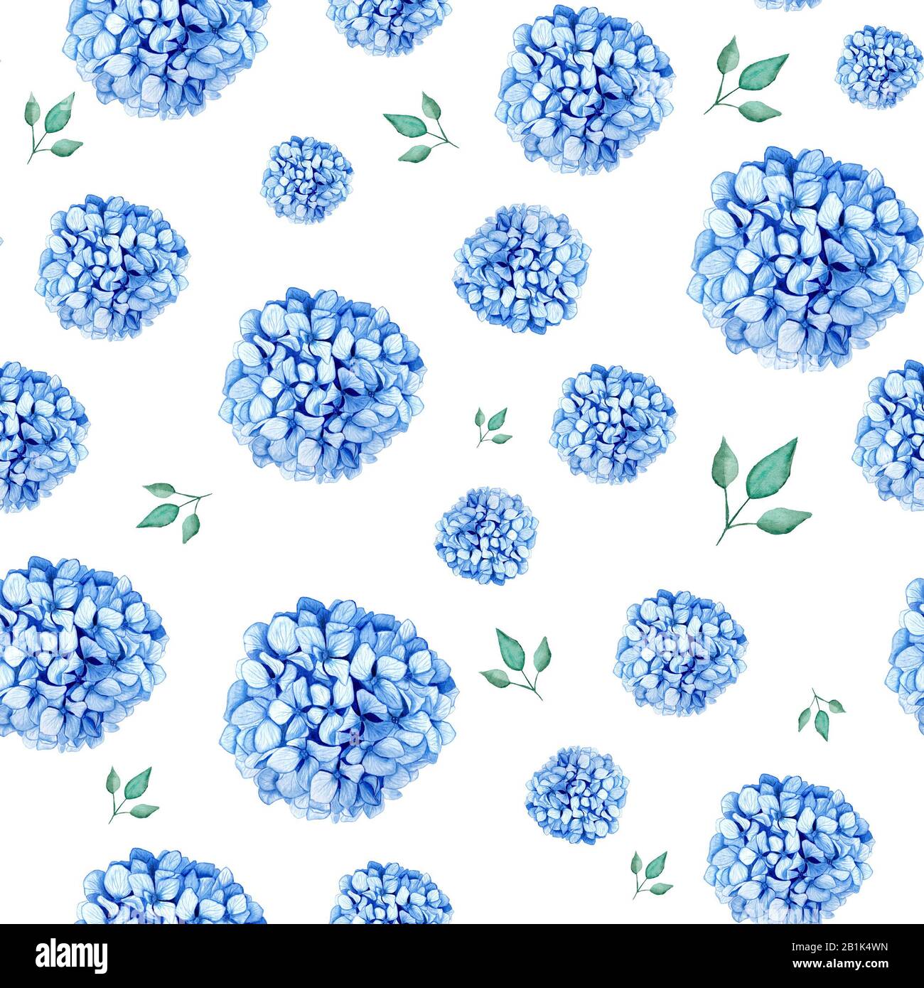 Hydrangea-Stamm-Aquarellzeichnung. Blaue Sommerblumen isoliert auf einem weißen, nahtlosen Hintergrund. Für Postkarten, Drucke und Notepad-Design Stockfoto