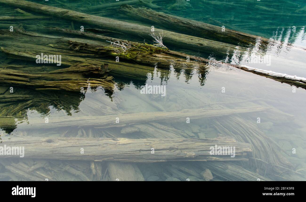 Unterhosen im Garibaldi-See, Nordamerika, Kanada, Britisch-Kolumbien, August 2015 Stockfoto
