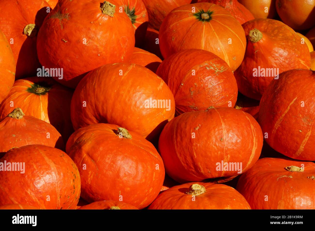 Kürbis - Türkenmarkt in der maybachstrasse in Neukölln, Berlin, Deutschland Stockfoto