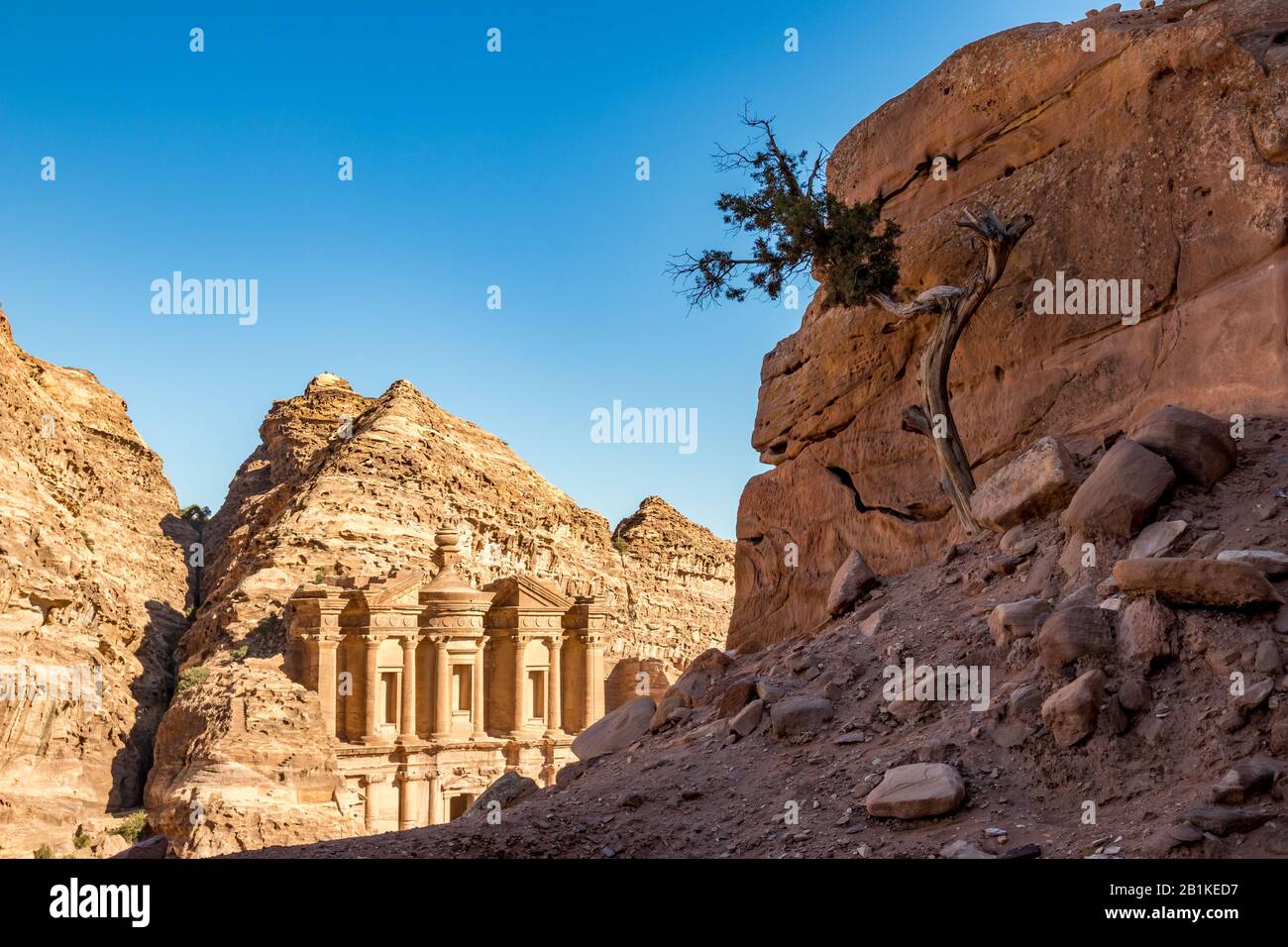 Halbtoter Baum unter den Schatten der Klippen und sonnenbeleuchteter Blick auf den atemberaubenden Ad-Deir in der antiken Stadt Petra, Jordanien. Ad-Deir oder Das Kloster. Petra Komplex und Touristenattraktion, Haschemite Königreich Jordanien Stockfoto
