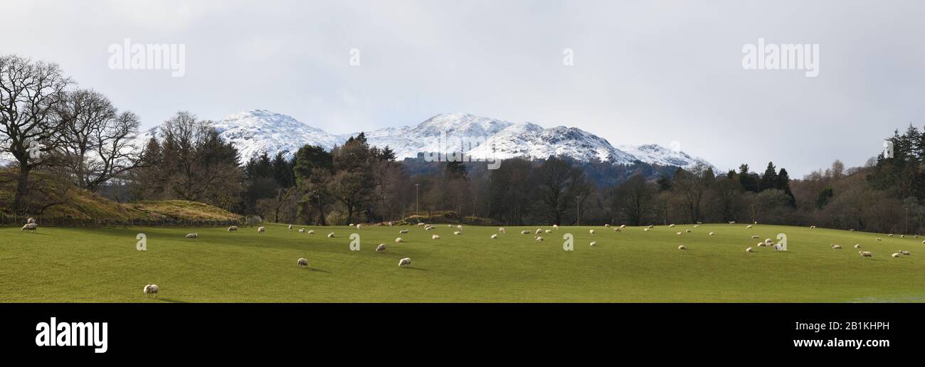 Schnee und längere Regenfälle betreffen weiterhin große Gebiete Schottlands Hier ist Comrie und der schneebedeckte Ben vorlich. Stockfoto