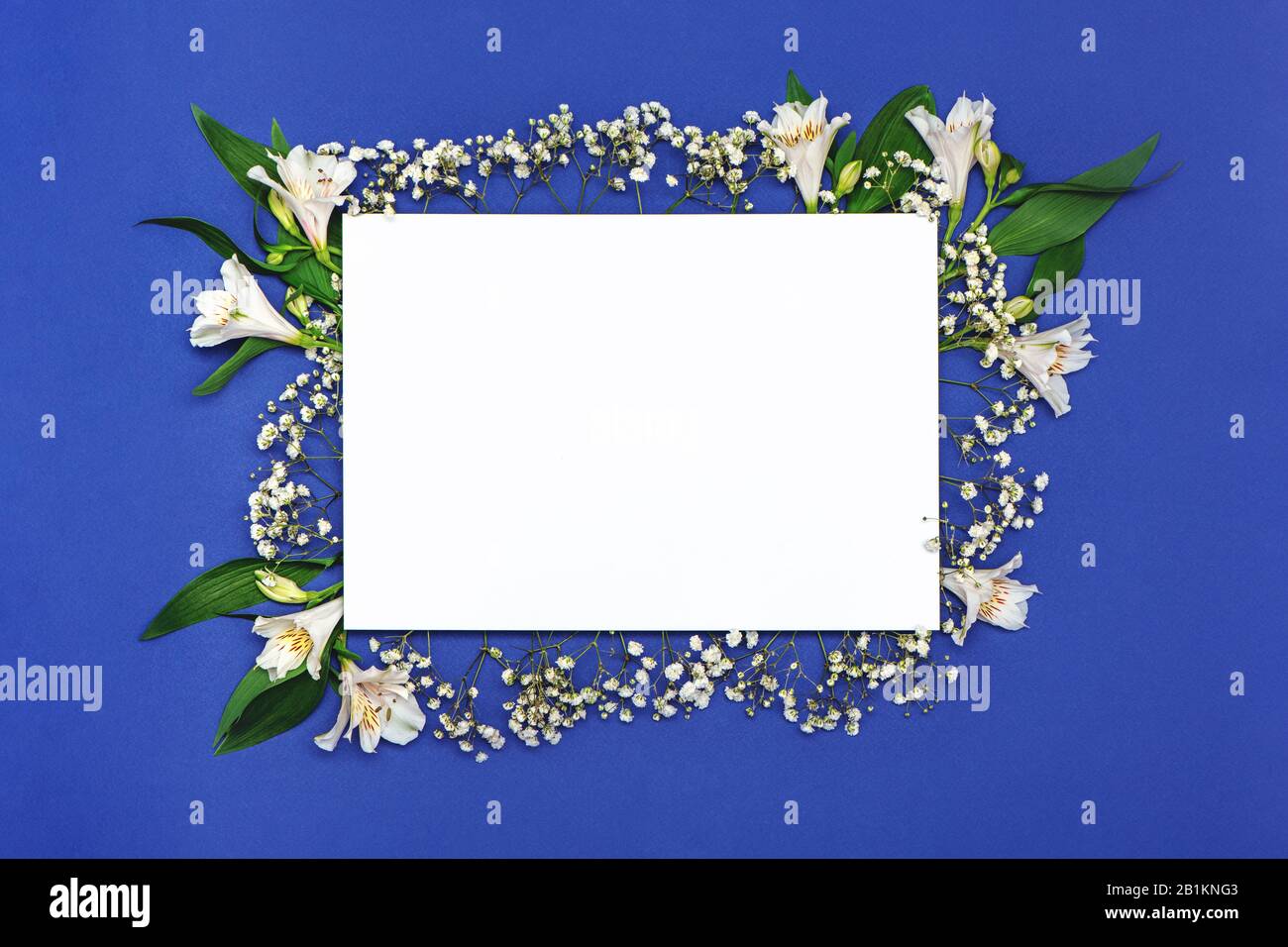 Leeres viereckiges Blatt Papier mit Zusammensetzung aus weißen Blumen auf blauem Grund. Happy Mothers Day, Frühling, osterkonzept. Stockfoto