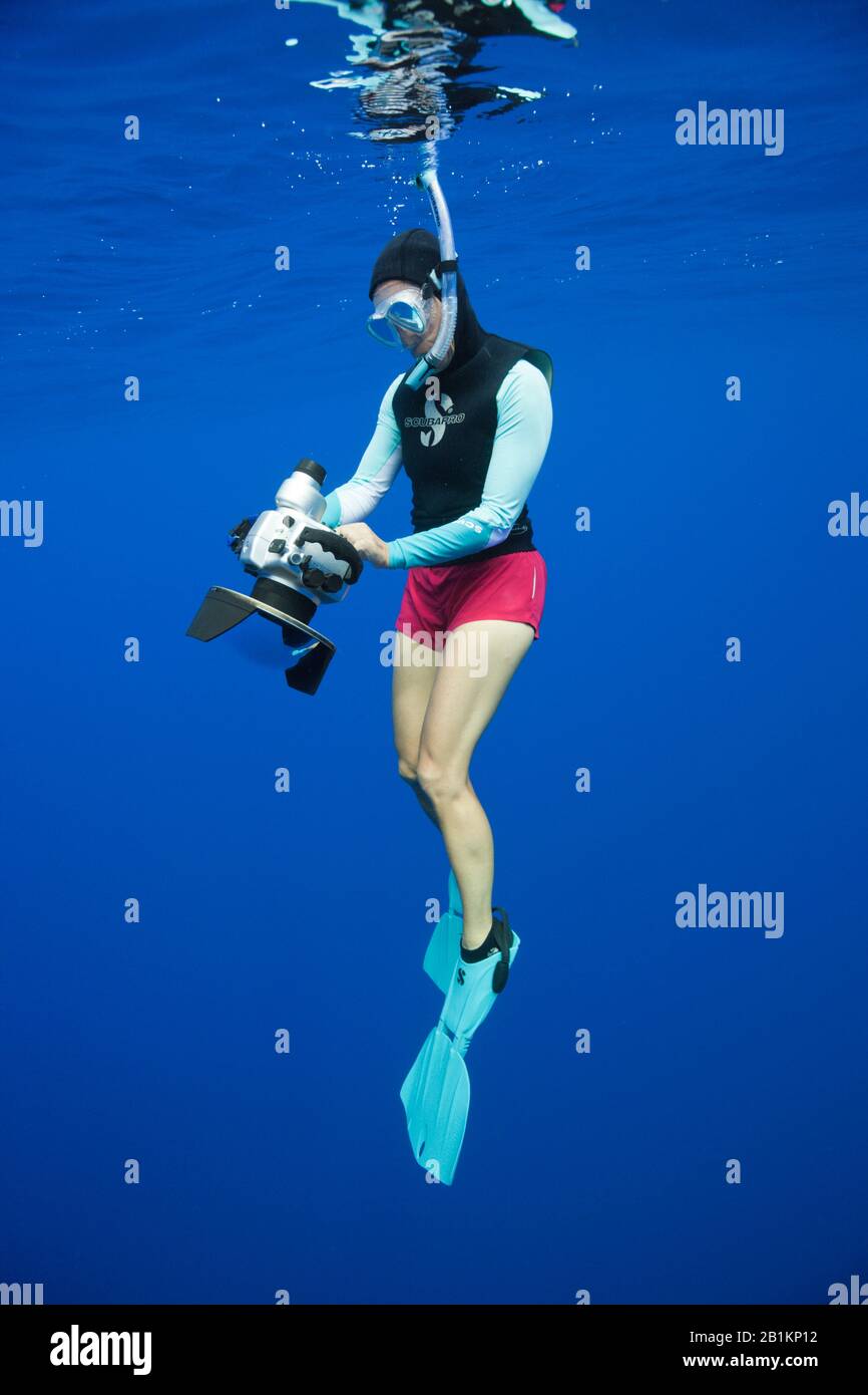 Unterwasserfotograf, Moorea, Französisch-Polynesien Stockfoto