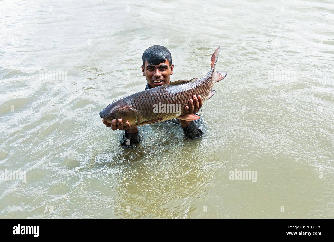 Fisch ist das wichtigste tierische Ausgangsprotein für bangladeschische Menschen. Sie hat auch einen guten wirtschaftlichen Wert in der Lebensmittelindustrie und der Lebensmittelsicherheit. Stockfoto