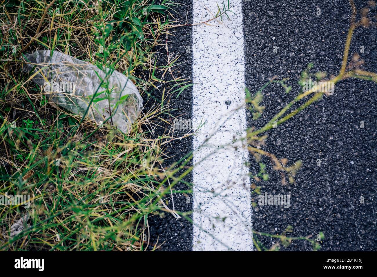 Auf dem Boden liegender Müll. Kunststoffflasche neben der Straße. Umweltverschmutzung auf der Erde. Schmutz in der Natur Stockfoto