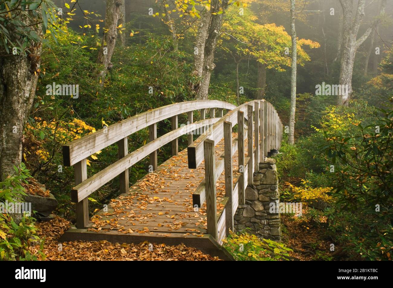 Tanawha Trail Bridge on Rough Ridge, Blue Ridge Parkway, Grandfather Mountain, NC, USA, von Bill Lea/Dembinsky Photo Assoc Stockfoto