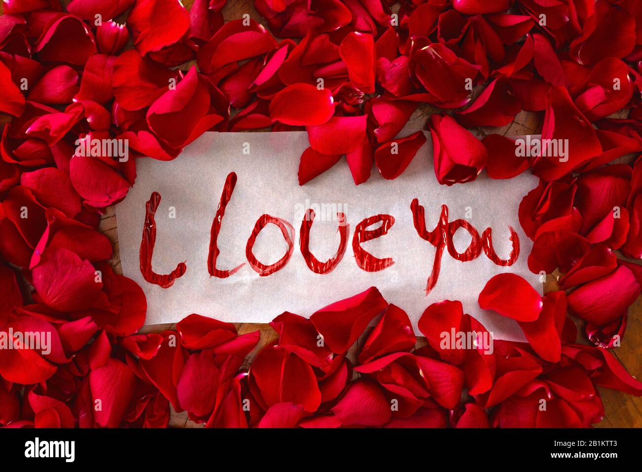 Der Text, den ich liebe, ist umgeben von roten Rosenblättern, romantischem Konzept mit valentinen Hintergrund Stockfoto