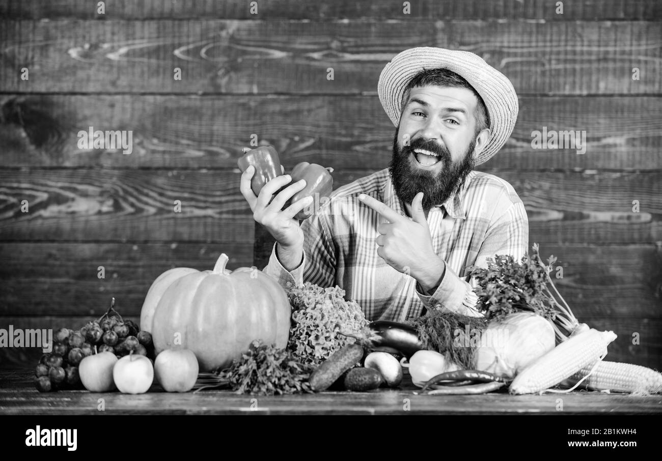 Eigene Ernte. Harvest Festival. bärtigen reife Landwirt. organische und natürliche Lebensmittel. happy halloween. saisonale Vitamin essen. Nützliche Obst und Gemüse. man-Chef mit reichen Herbst Ernte. Stockfoto