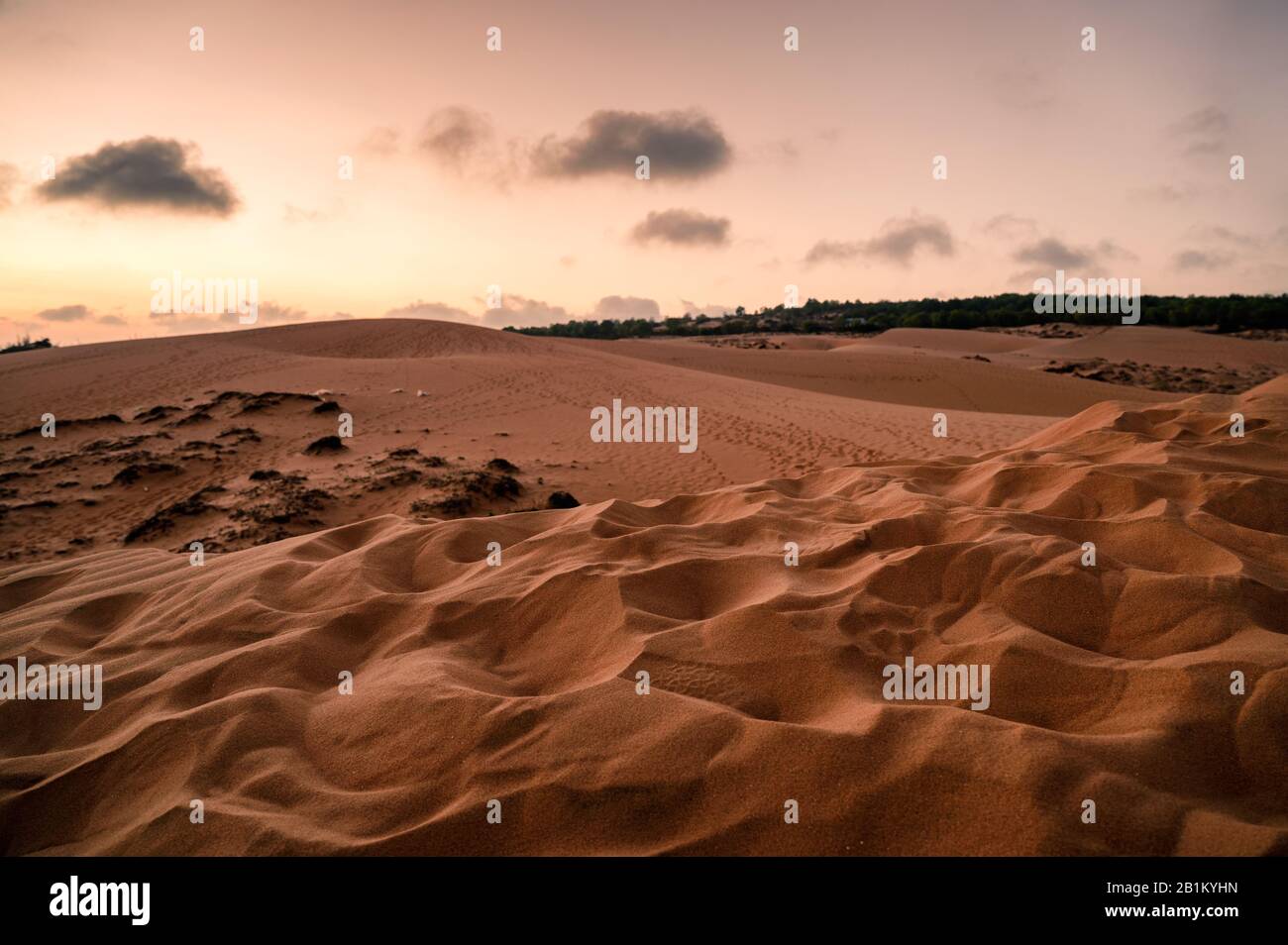 Welle der sandigen Wüste am Abend Stockfoto