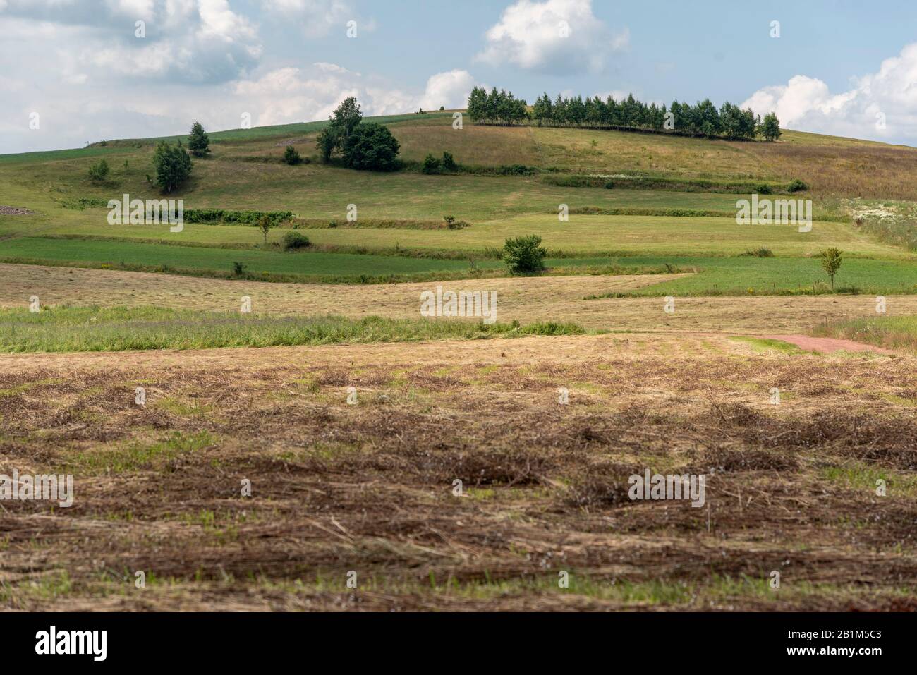 Spezielles Naturreservat Uvac, Serbien. Sommerzeit Stockfoto