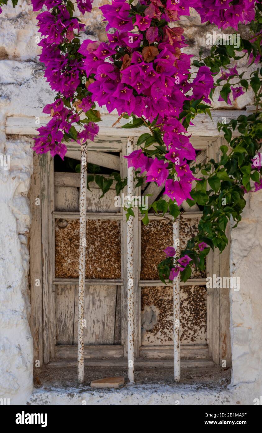 Ein altes verderbtes Gebäude und zerbrochenes Fenster im schäbigen Stil in einem griechischen Dorf auf der Insel korfu mit Blumen, die oben aus Körben hängen, Stockfoto