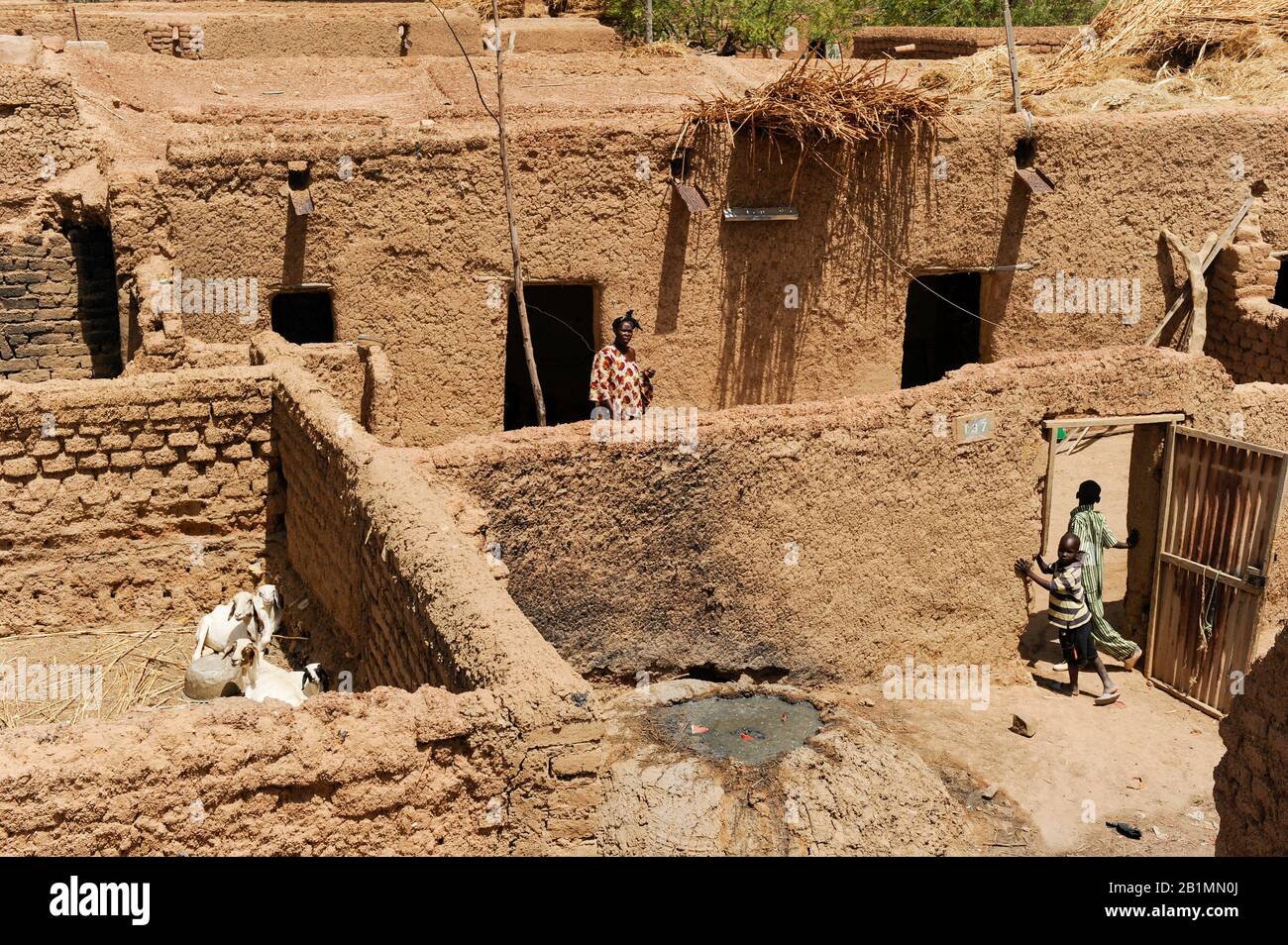 Mali, Bandiagara, Lehmbauten Stockfoto