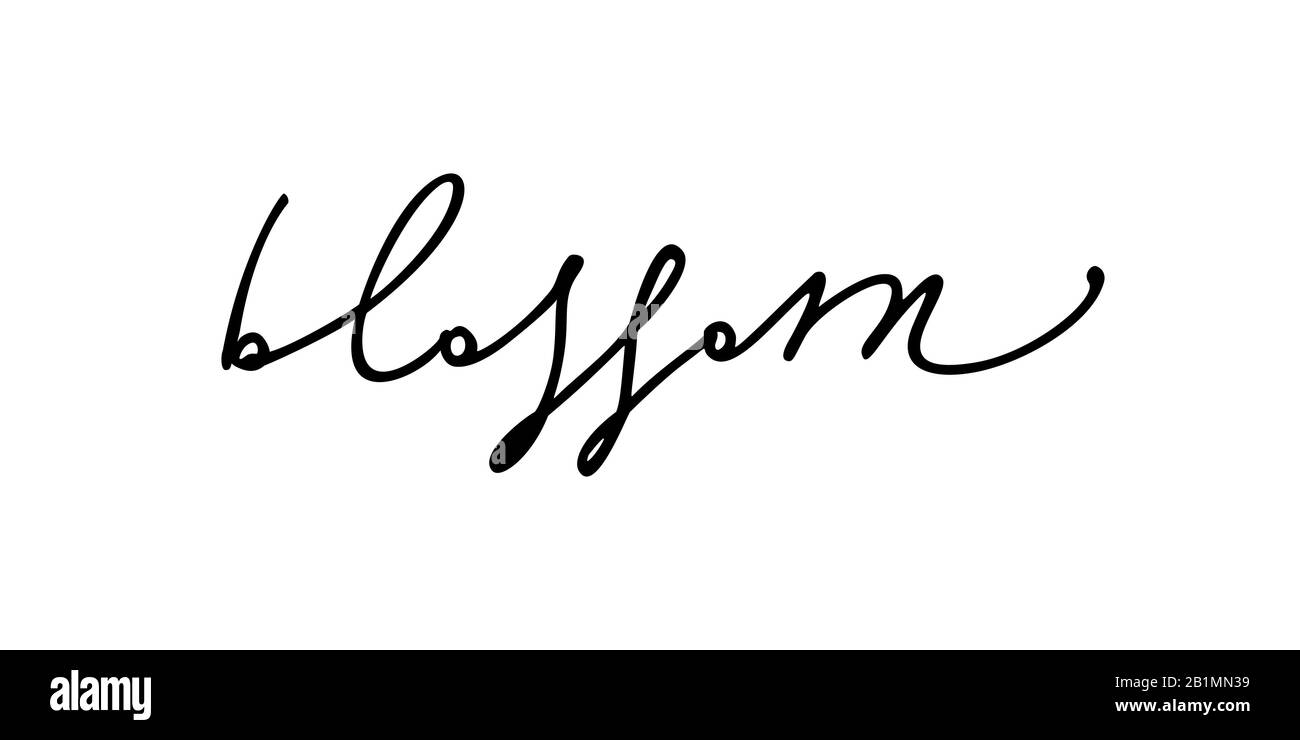 Blossom - handgeschriebenes Wort, Kalligraphische Schrift, Element für Ihre Designpostkarten, Kalender, T-Shirts, Werbung Stock Vektor