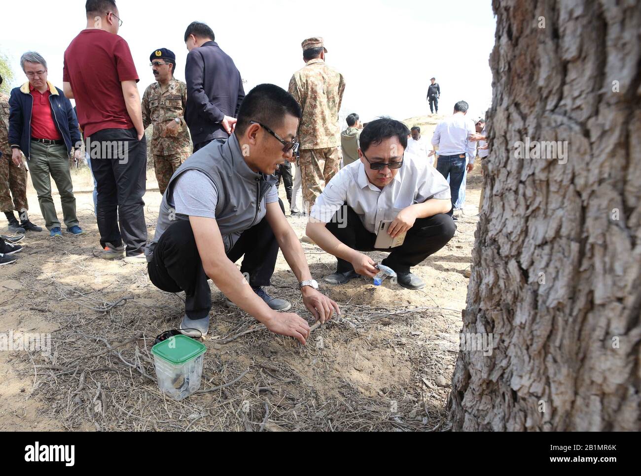 Sindh, Pakistan. Februar 2020. Chinesische Heuschreckenexperten suchen in der Wüste Tharparkar in der Provinz Sindh, Pakistan, 26. Februar 2020 nach Eiern von Heuschrecke. Chinesische Heuschreckenexperten inspizierten am Mittwoch die Wüste Tharparkars, die im vergangenen November von Wüstenheuschrecke angegriffen wurde und als Sommerzuchtplatz für Heuschrecke anerkannt ist. Kredit: Liu Tian/Xinhua/Alamy Live News Stockfoto