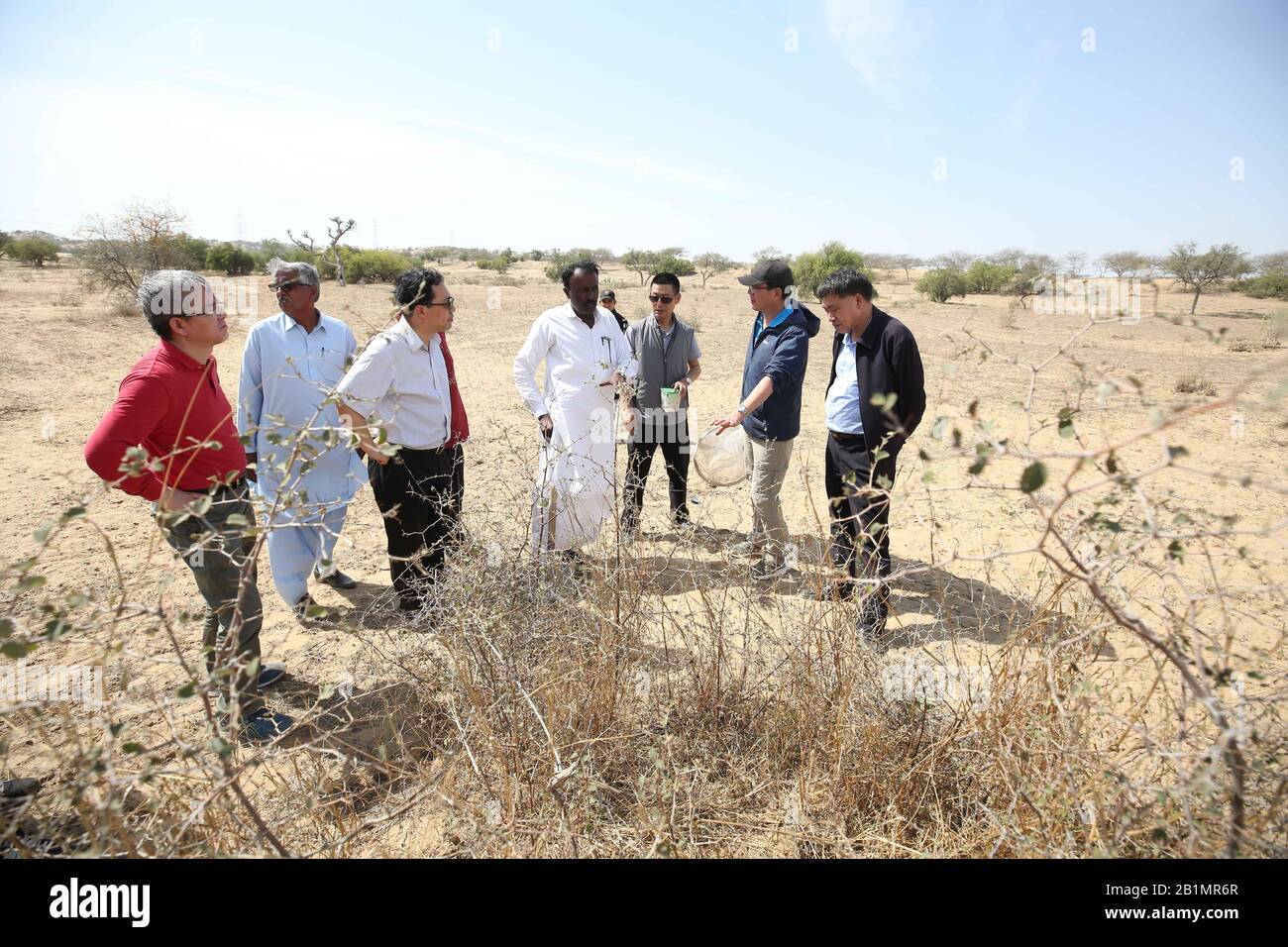 Sindh, Pakistan. Februar 2020. Chinesische Heuschreckenexperten sprechen mit lokalen Heuschreckenkontrollmitarbeitern in der Wüste Tharparkar der Provinz Sindh, Pakistan, 26. Februar 2020. Chinesische Heuschreckenexperten inspizierten am Mittwoch die Wüste Tharparkars, die im vergangenen November von Wüstenheuschrecke angegriffen wurde und als Sommerzuchtplatz für Heuschrecke anerkannt ist. Kredit: Liu Tian/Xinhua/Alamy Live News Stockfoto