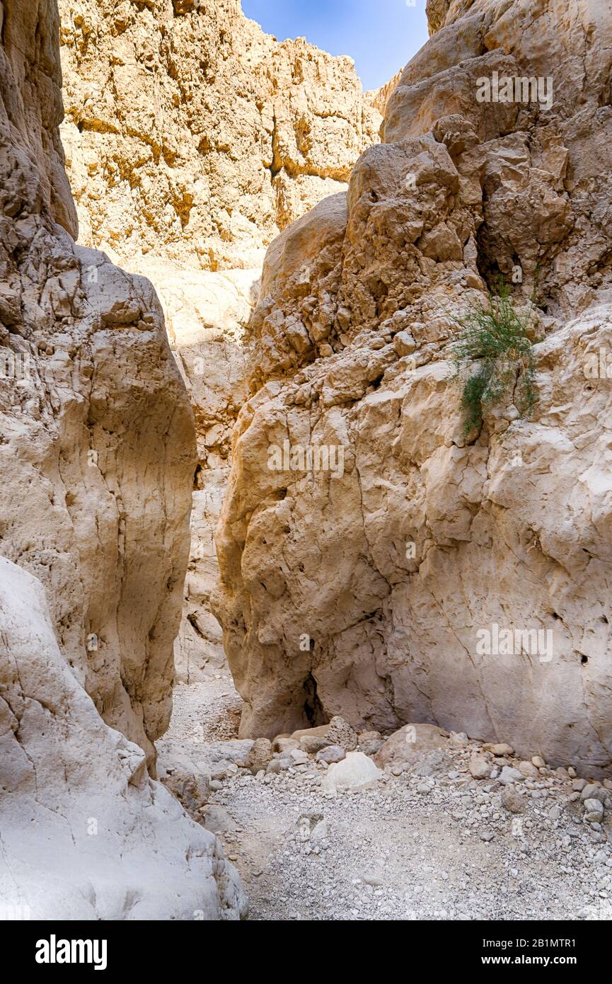 Wandern in der wüste arava in Israel Stockfoto