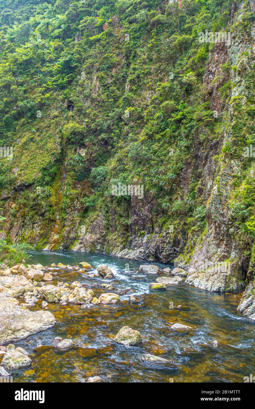 Ohinemuri River in der Karangahake Gorge, und biegen Sie an den Klippen, Neuseeland, ab. Lizenzfreies Foto. Stockfoto