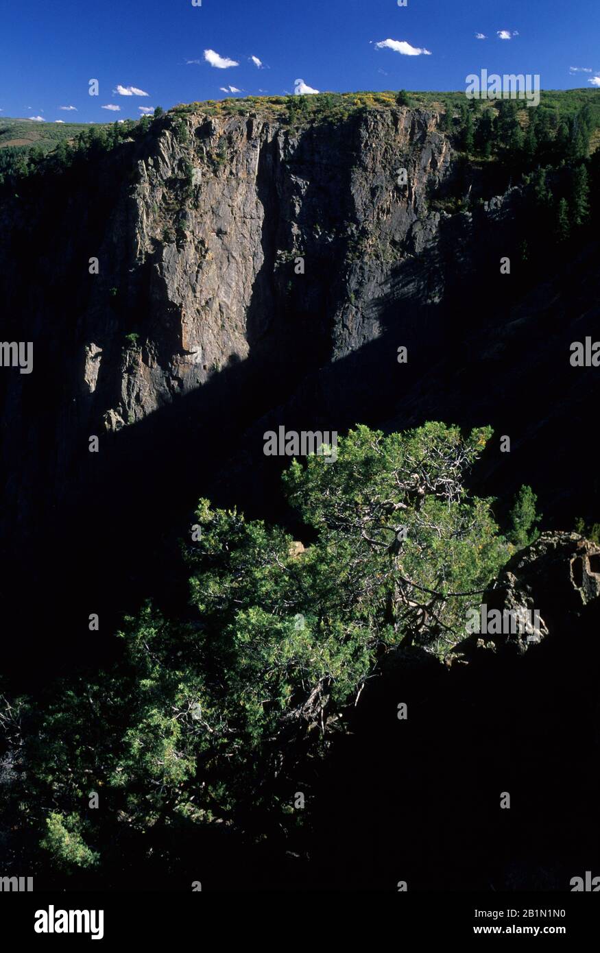 Tomichi-Blick, Black Canyon des Gunnison National Park, Colorado Stockfoto