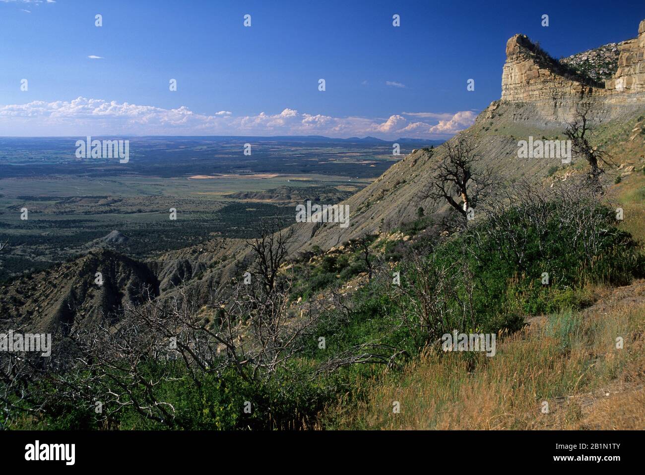 North Rim, Mesa Verde National Park, Colorado Stockfoto