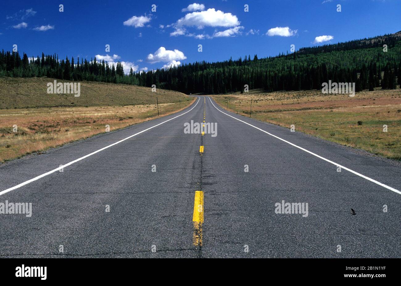 Spring Creek Pass, Silver Thread National Scenic Byway, Gunnison National Forest, Colorado Stockfoto