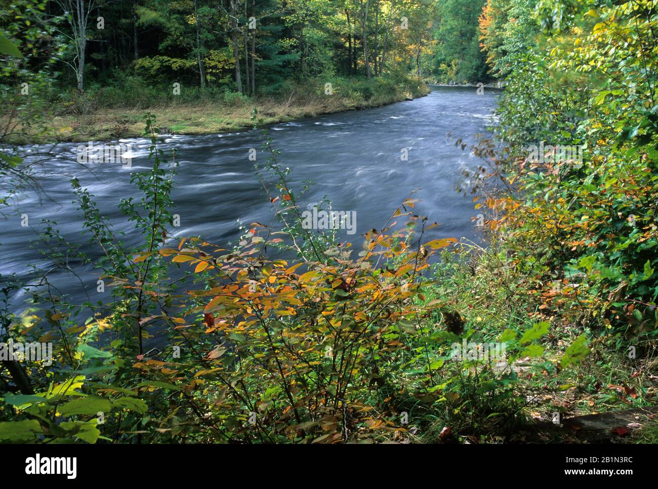 Farmington Wild and Scenic River, American Legion State Forest, Connecticut Stockfoto