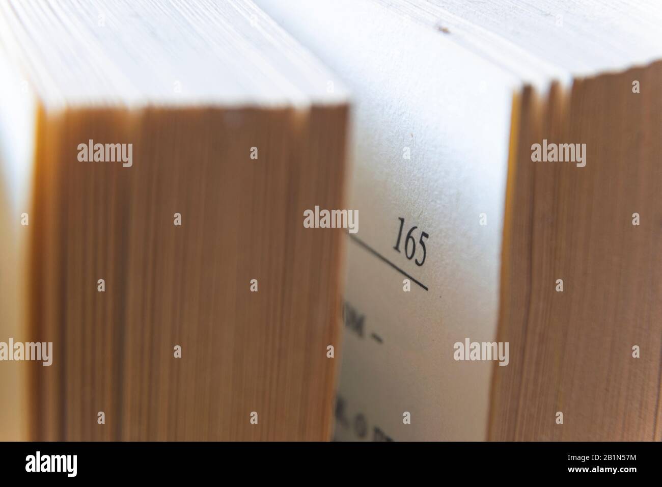 Makrobild der gelben Bilder des alten, großen Buches auf Seite 165 Stockfoto