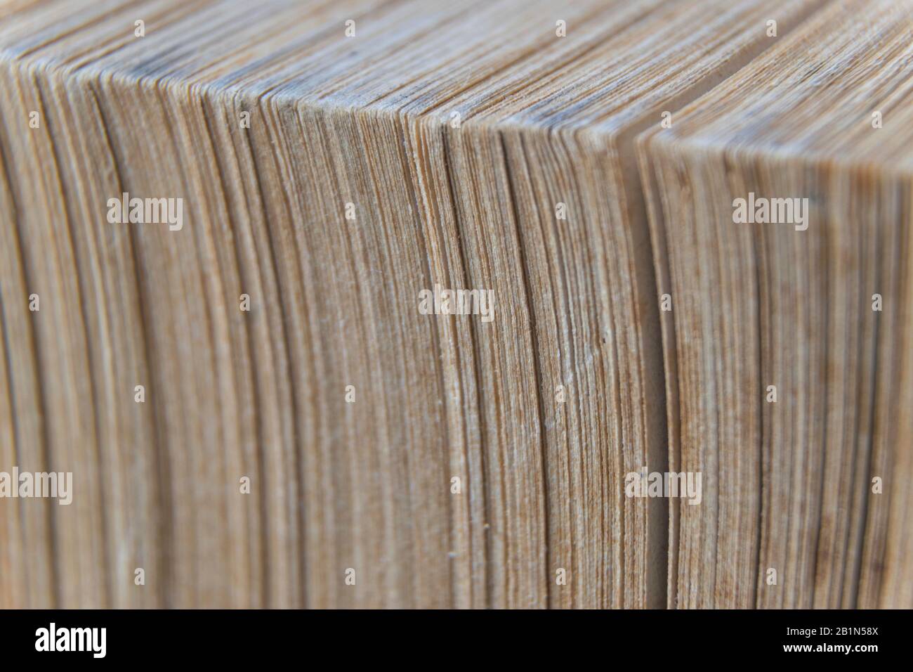 Makrobild gelber Bilder von altem Buch mit vielen Seiten Stockfoto