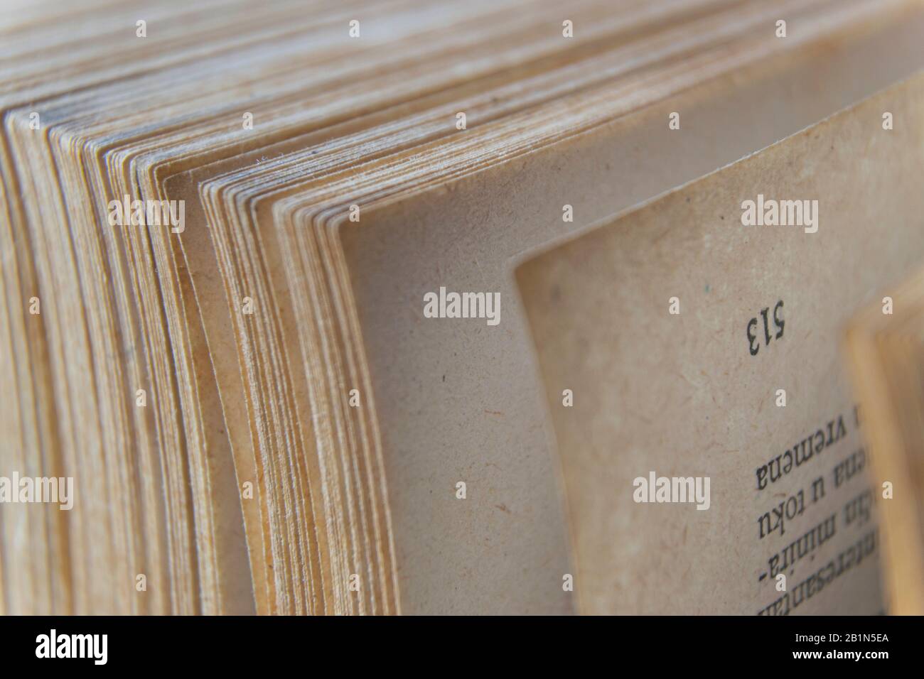 Makrobild gelber Bilder alter, großer Bücher auf Seite 513 Stockfoto