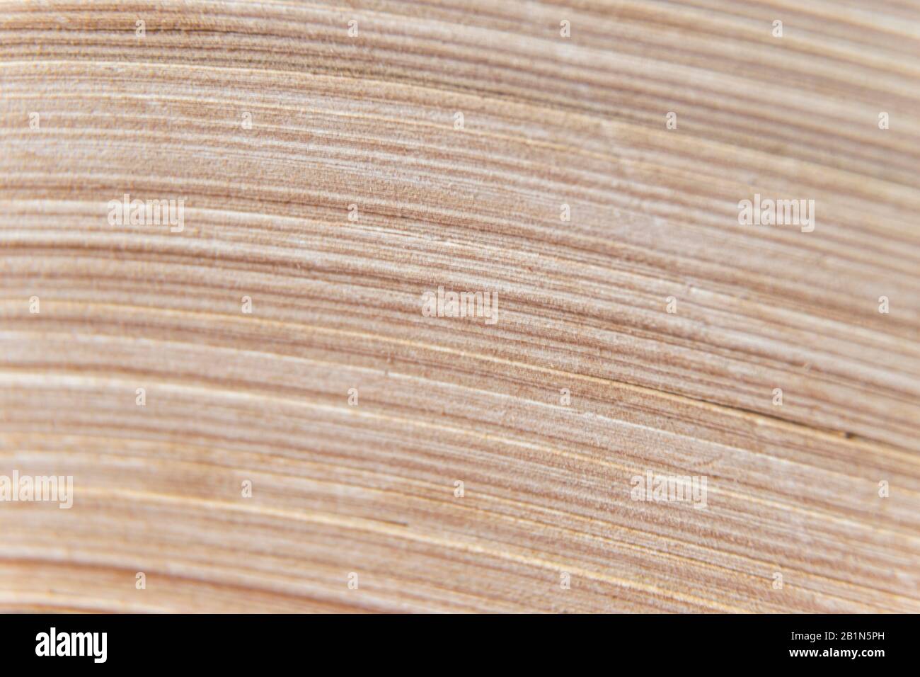 Makrobild gelber Bilder von altem Buch mit vielen Seiten Stockfoto