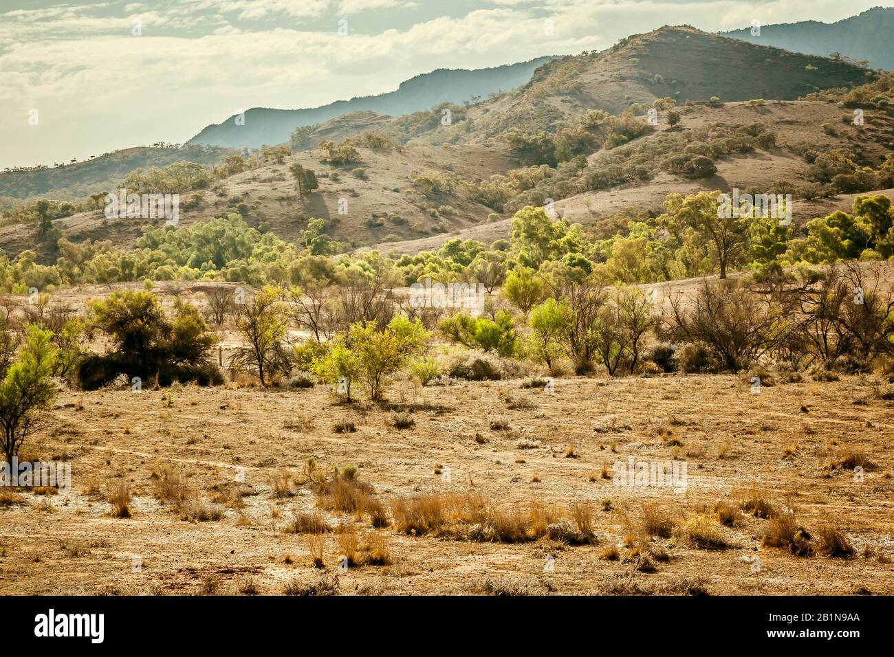 Flinders Ranges, Australien Stockfoto