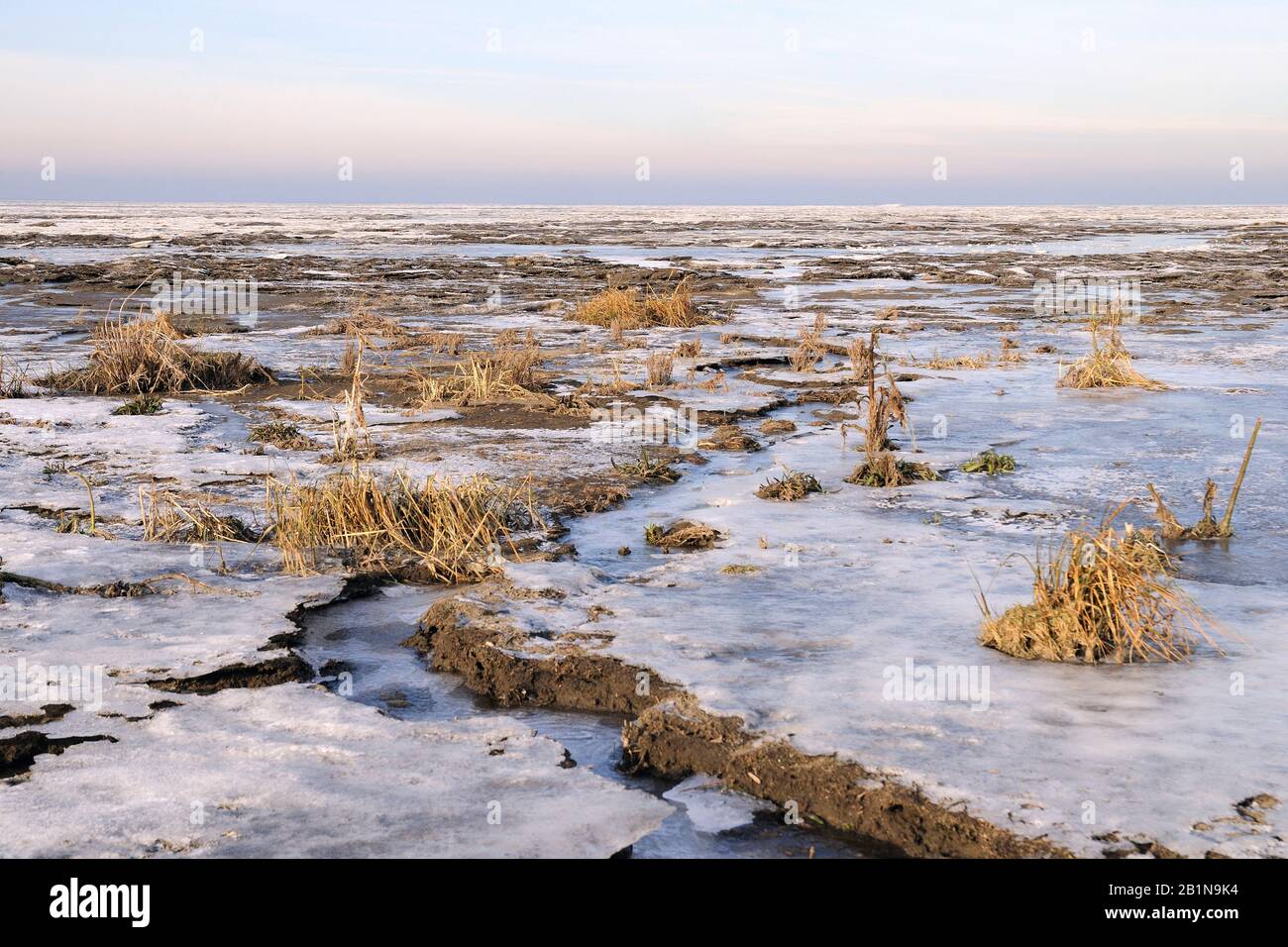 Gezeitenwohnung im Winter, Naturschutzgebiet Balgzand, Niederlande, Nordniederland, Wieringen Stockfoto