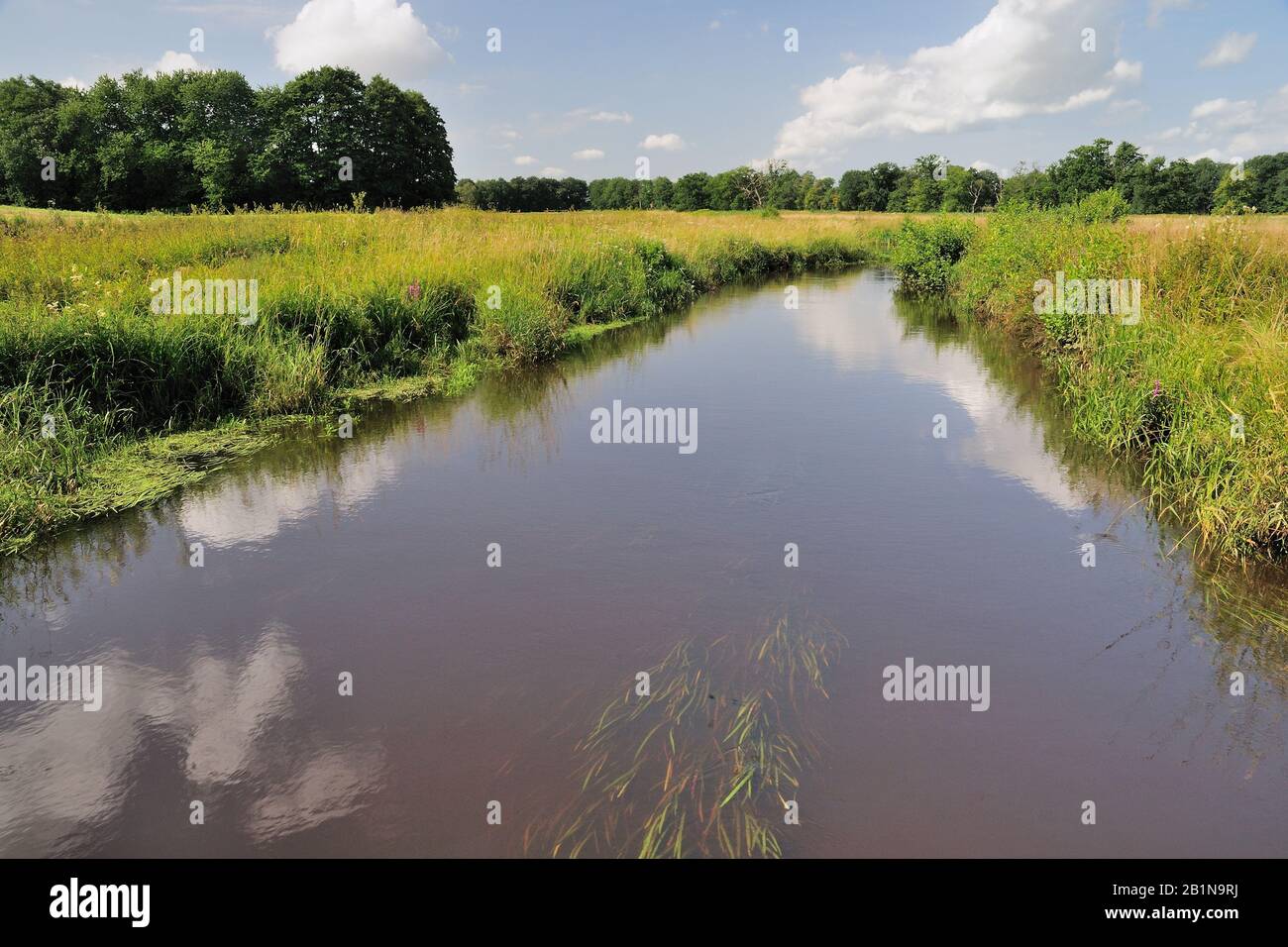 Flusslandschaft Drentse Aa, Niederlande, Drenthe, Gasteren Stockfoto