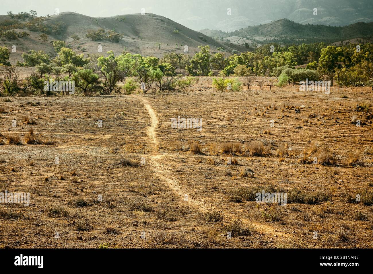 Flinders Ranges, Australien Stockfoto