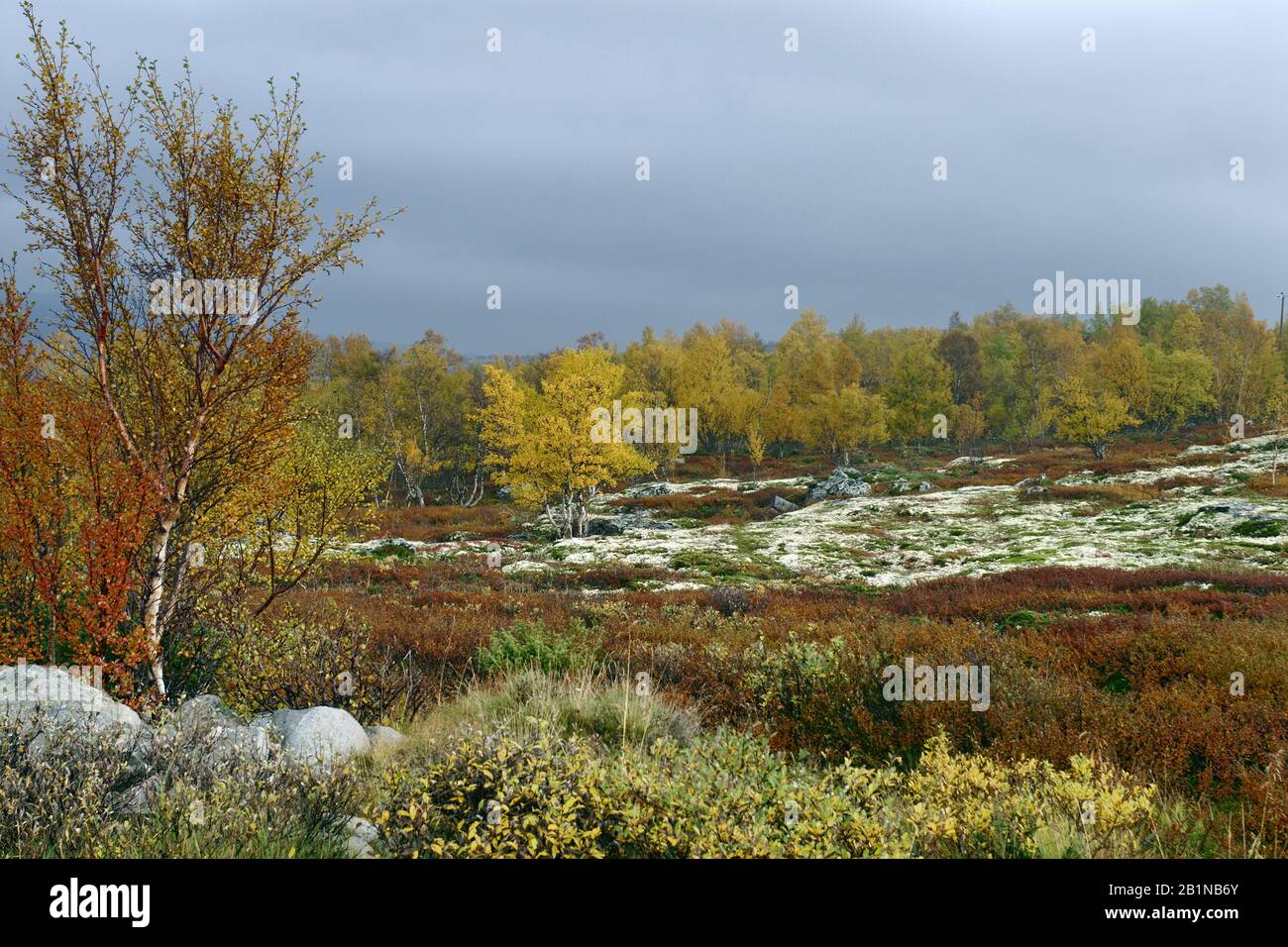 Herbstlandschaft im Rondane National Park, Norwegen, Rondane National Park Stockfoto