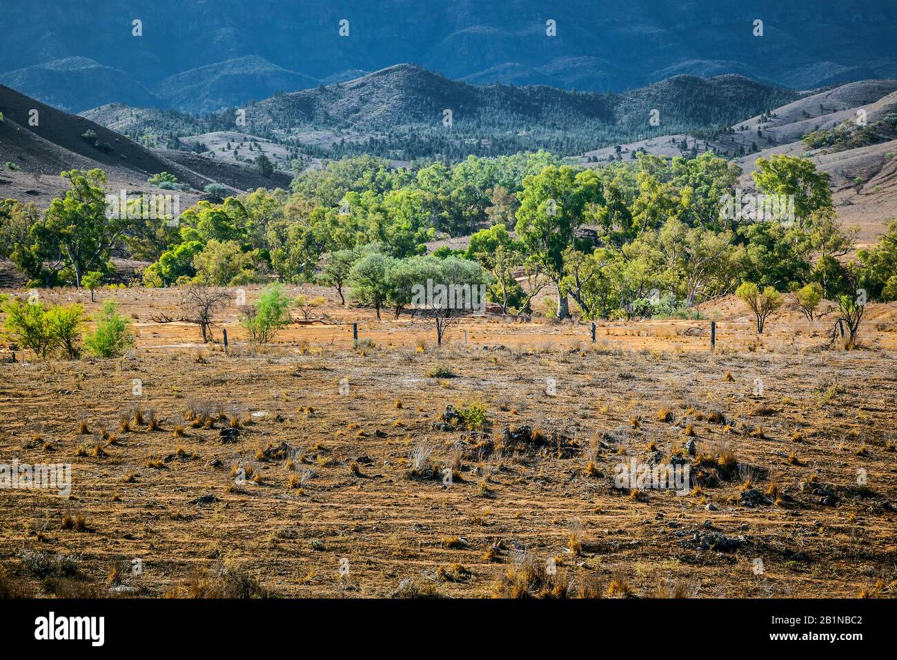 Flinders Ranges, Australien Stockfoto