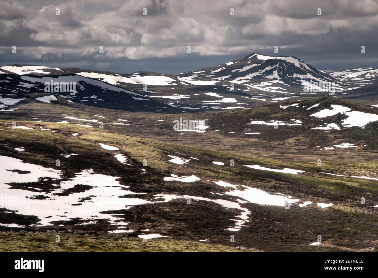 Landschaft im Dovrefjell Sunndalsfjella National Park, Norwegen, Dovrefjell Sunndalsfjella National Park Stockfoto