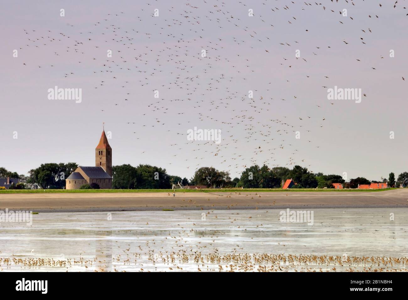 Blick auf den Oever und Amsteldiep, Niederlande, den Oever, Amsteldiep Stockfoto