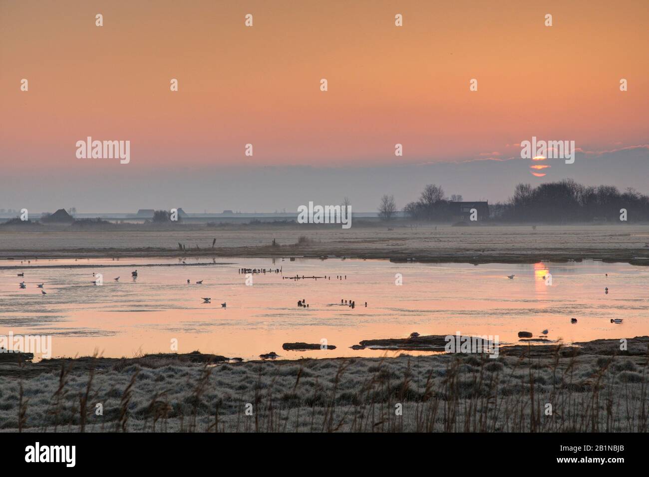 Sonnenaufgang über den Dünen des Texel National Park bei Hoar Frost, Niederlande, Texel, Duenen von Texel Nationalpark Stockfoto