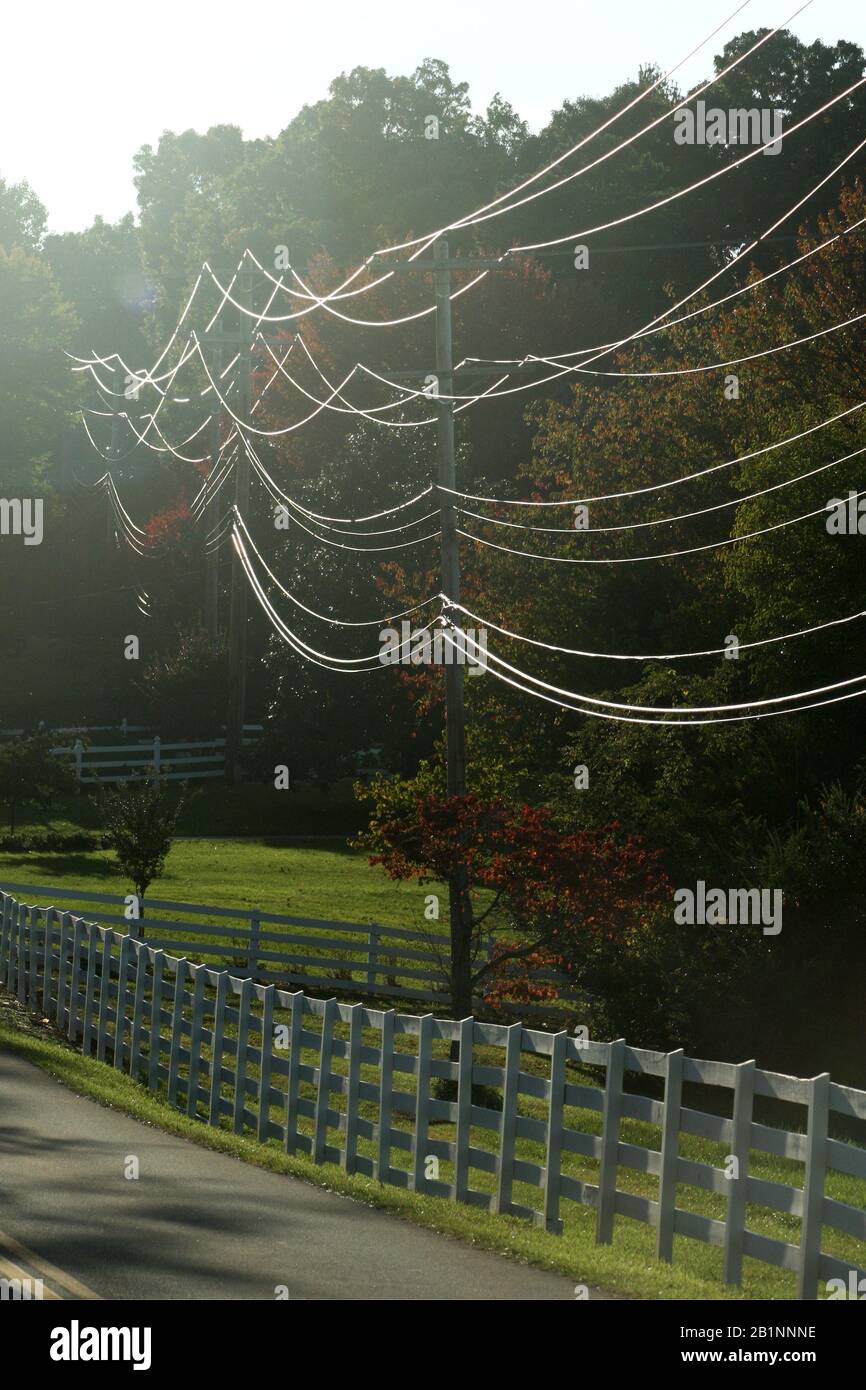Virginia, USA. Elektrische Leitungen auf dem Land. Stockfoto