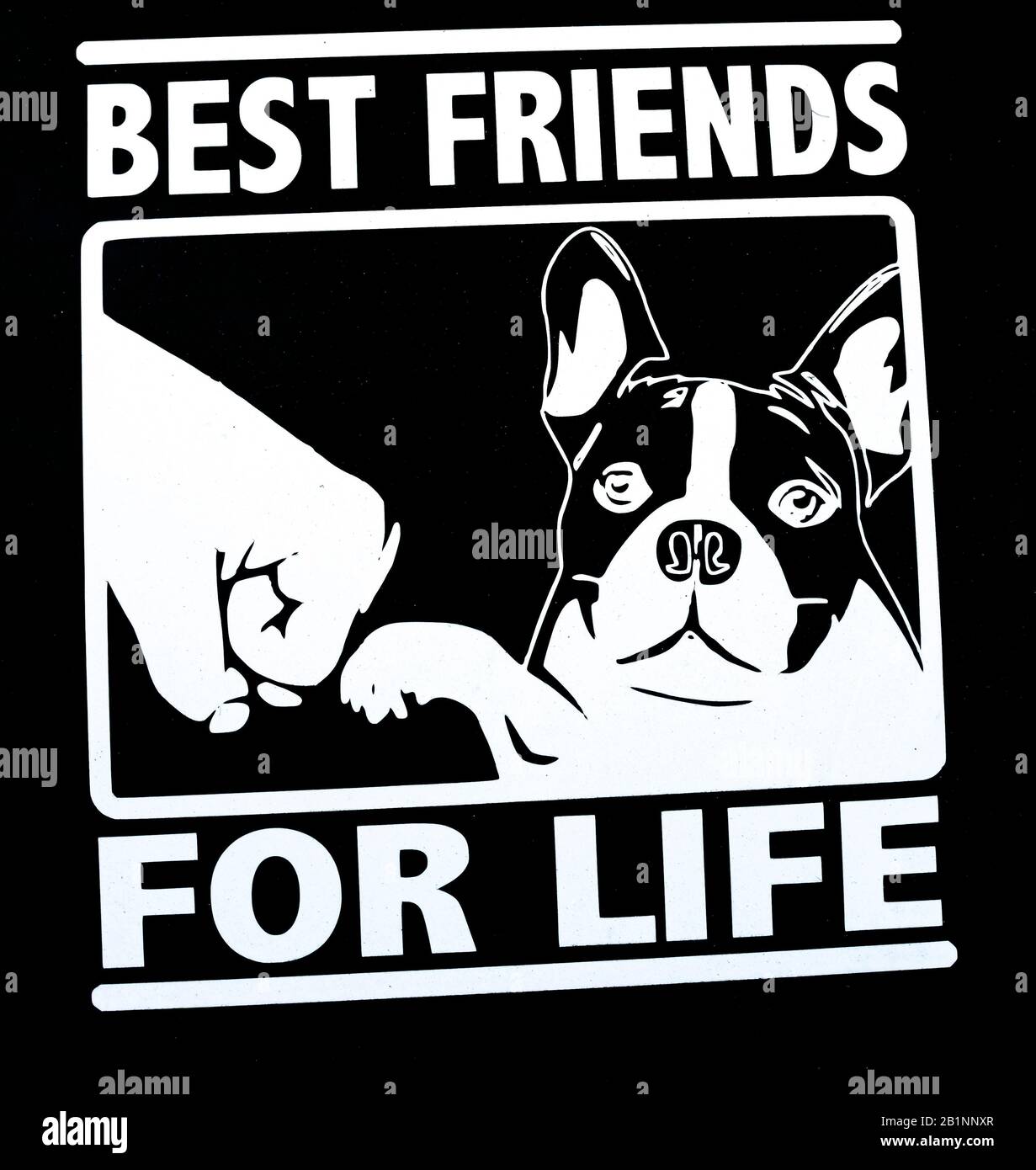 Logo "Best Friends For Life" (mit Boston Terrier) auf der Heckscheibe des Autos Stockfoto