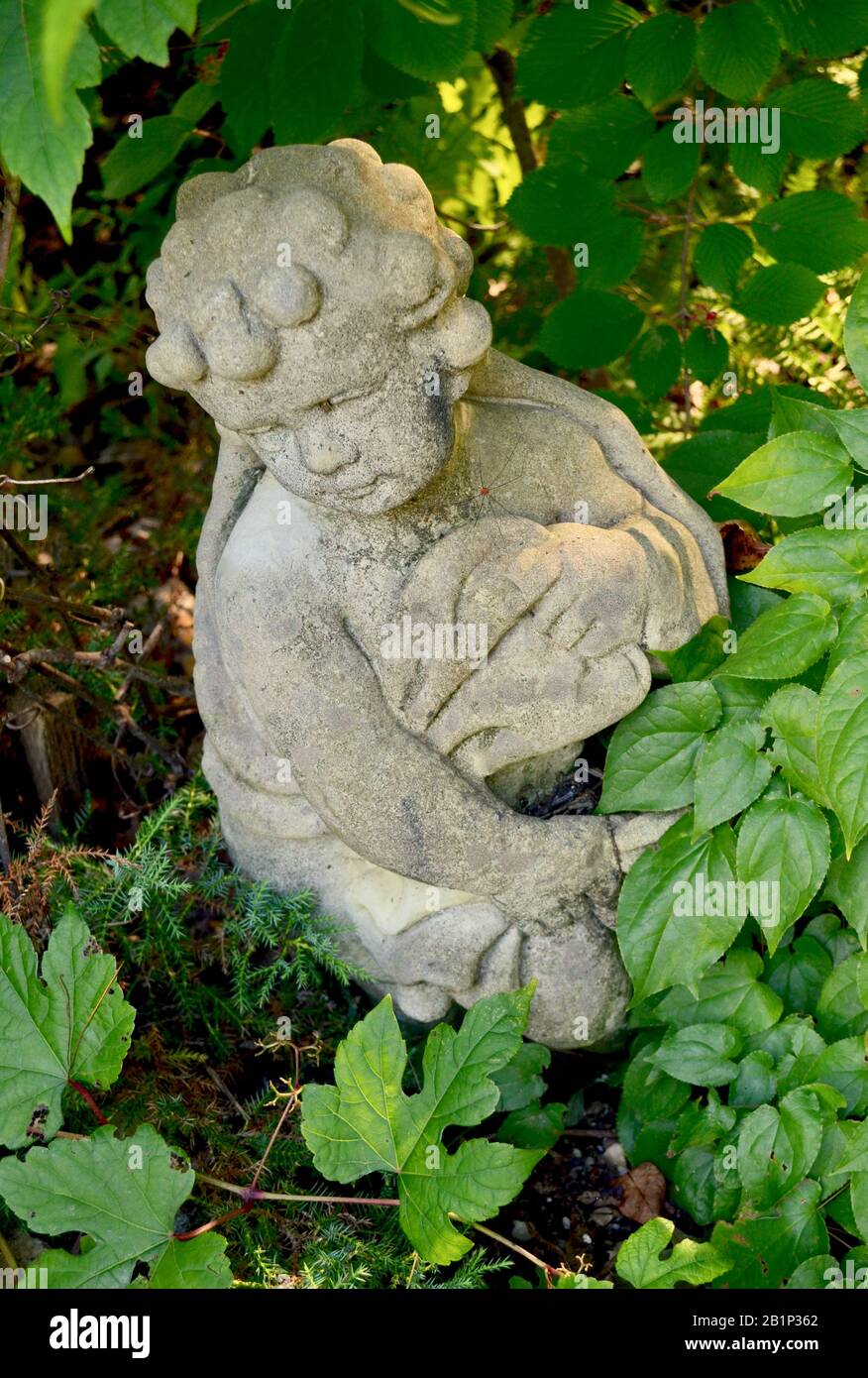 Alte Cherub-Statue, eingebettet in das Laub des Gartens. Nahaufnahme. Stockfoto